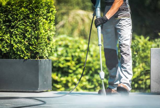 Best Restaurant Pressure Washing  in Diamond, IL