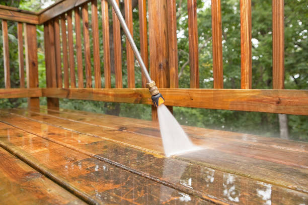 Best Fence Cleaning  in Diamond, IL